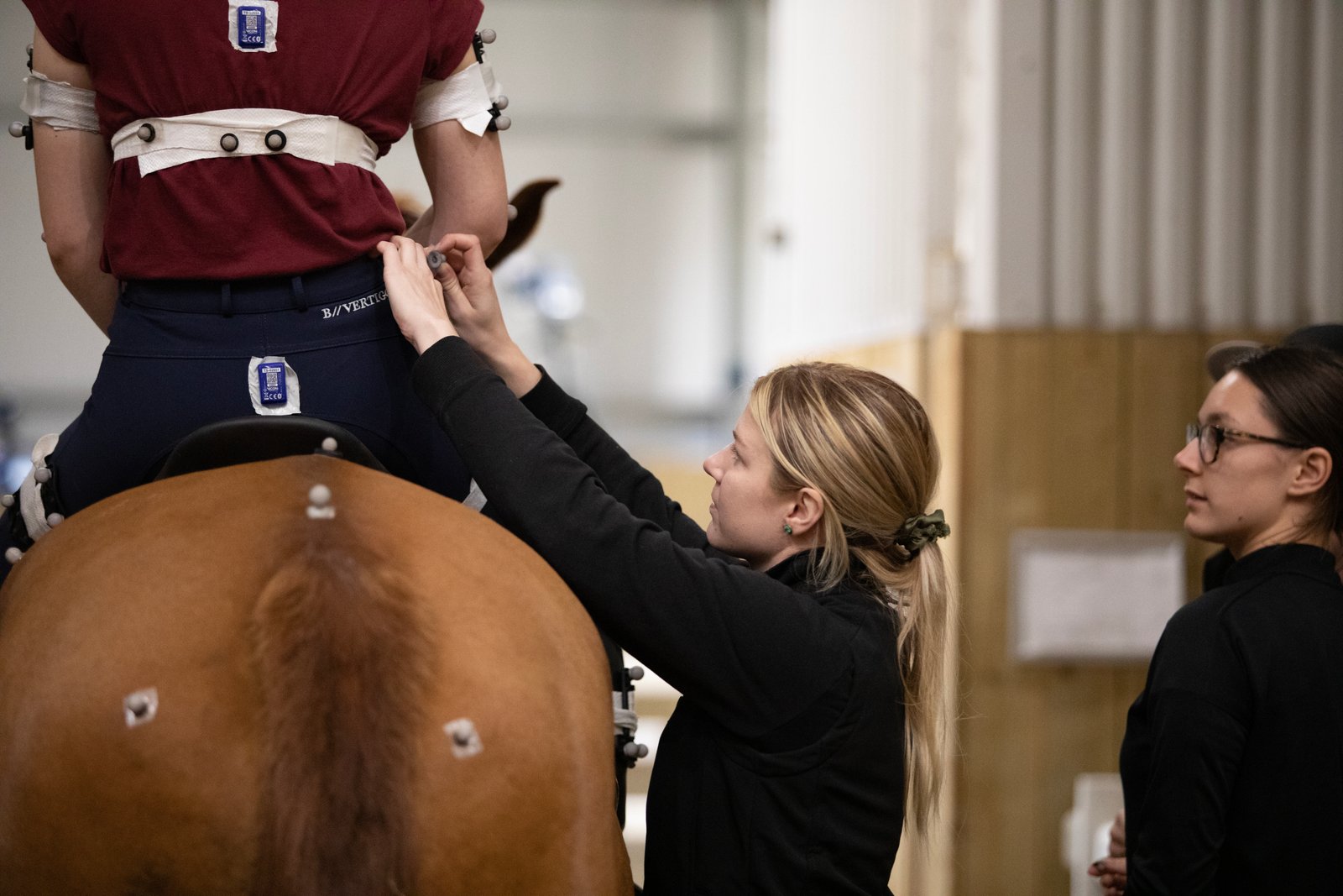 Fitting movement sensors to a rider during equestrian biomechanics research