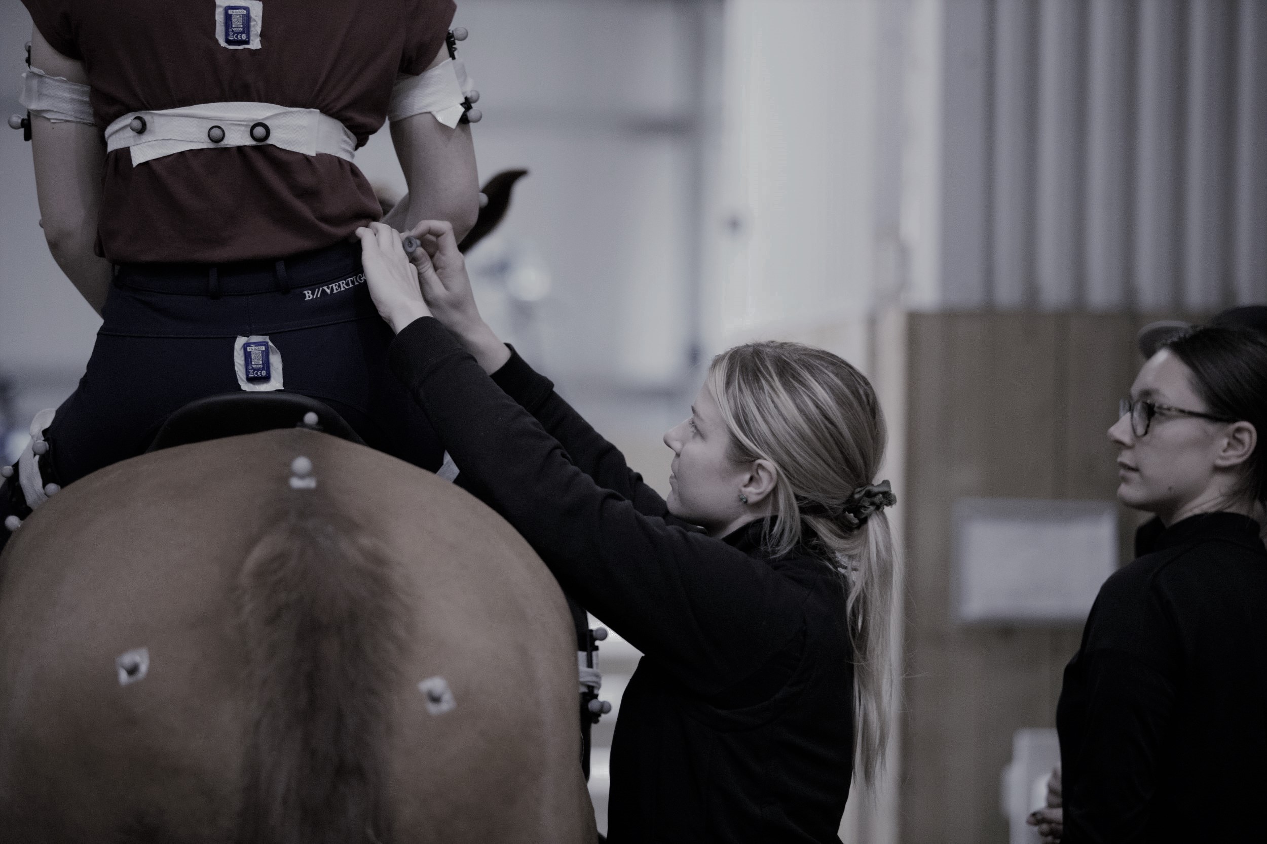 Equestrian motion capture research